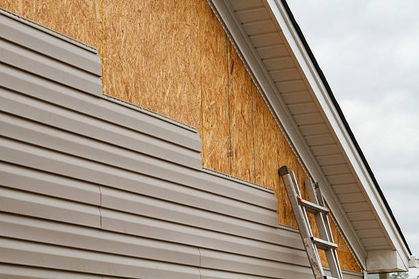 Professional Siding Repair technician working in Oilville, VA